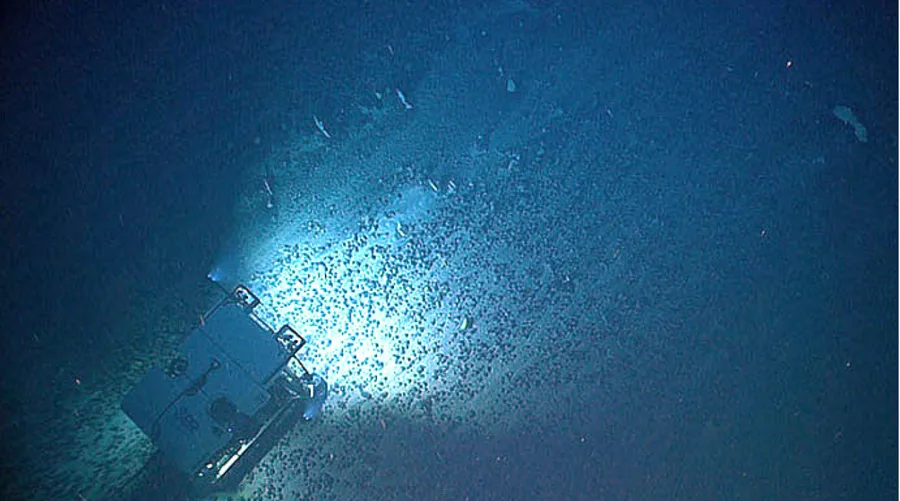 ROV Deep Discoverer melintasi ladang luas nodul ferromangan di dasar laut